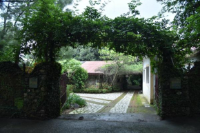 Serene, Dehra Dun